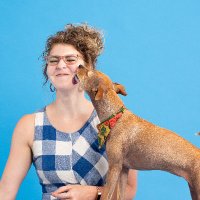 Stacie Grissom (@sewstacie) 's Twitter Profile