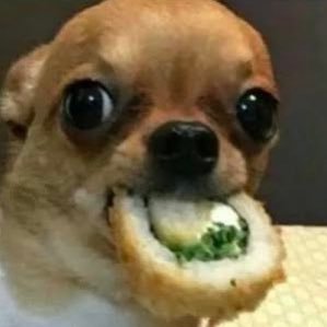 NancyHe80302042's profile picture. 