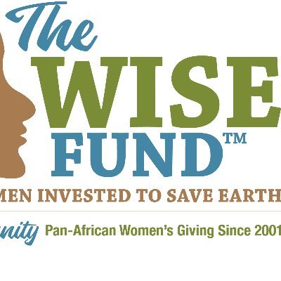 Reunity (formerly PAWPNet), a project of @theWISEfund, works to strengthen the capacity of Pan-African women, their families and communities everywhere.