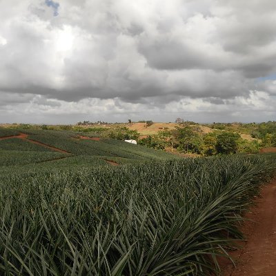 Amantes del campo en Colombia, convencidos de que es necesario impulsar transformaciones por las comunidades del sector rural.