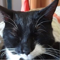 MpiR (@mpir_music) 's Twitter Profile