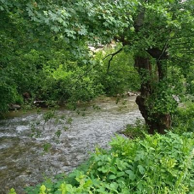 🌹Posna-Funtasy-Park🌹
اراضى البوسنة
اراضى بجوارمدينةالعاب فينتازى4🌿تاريشن لبنيسانهر🌿فينتازى نهر
اراضى تطل عطبيعة
بيع اقساط🌿بدون مقدم 💞💯ديناركويتي