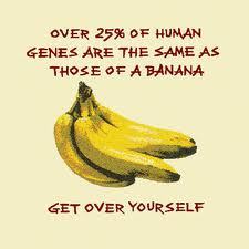 Not A Banana
