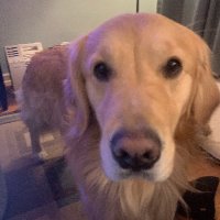 Jess (@jstherealme) 's Twitter Profile
