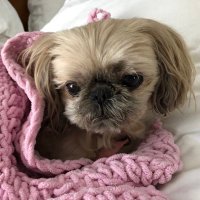 Lila Minsker (@lilaminsker) 's Twitter Profile