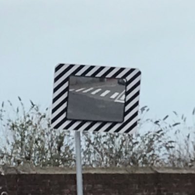 videocardlogic's profile picture. aaaaahhhhhoooohhhh