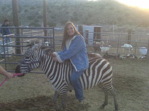 Giddy_Up_Ranch's profile picture. Giddy Up Ranch is a traveling zoo providing camel rides, pony rides and petting zoos all over Southern California.  Contact us for any type of event.