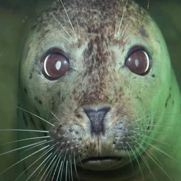 davidruano230's profile picture. No soy trol ni cuenta fake. Solo es mi cuenta de respaldo.