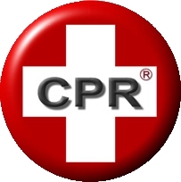 CPR - Dedicated to the on-premise repair of smart phones, tablets, iPods, game systems and other electronic gadgets. Contact us!
Phone: 812.402.5225