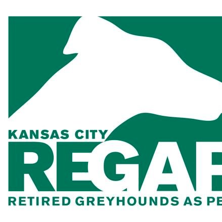Finding forever, loving homes for retired greyhounds and greyhound mixes in the Kansas City area