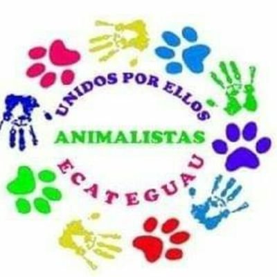 Siempre en la lucha por los derechos de los animales. No descansaremos hasta lograr, un trato digno hacia ellos. Basta de maltrato a nuestros hermanos sin voz.