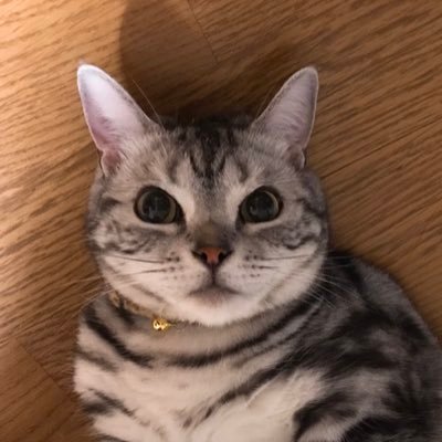 marie29049294's profile picture. 韓国ドラマが好きです 「サイコだけど大丈夫」でキム・スヒョンさんに興味を持ち、涙の女王で沼に…🫠無言フォローお許しください 🙏