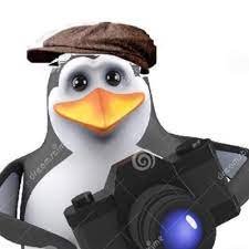 pinguimfotograf's profile picture. olá, sou um pinguim fotógrafo. diga X