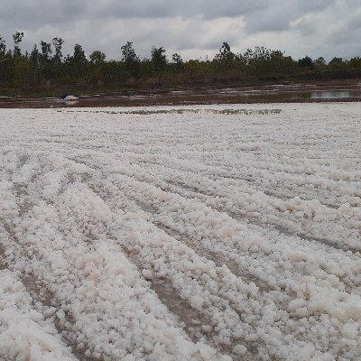 songck82's profile picture. làm chủ chính mình