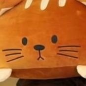 Yichieさんのプロフィール画像