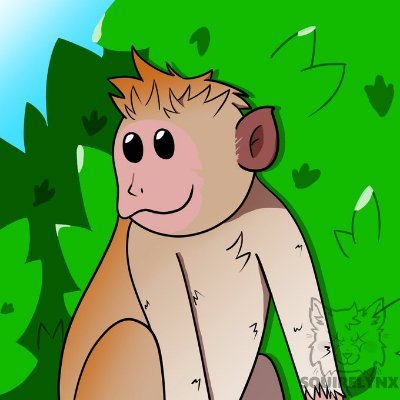 keesmonkey Profile Picture