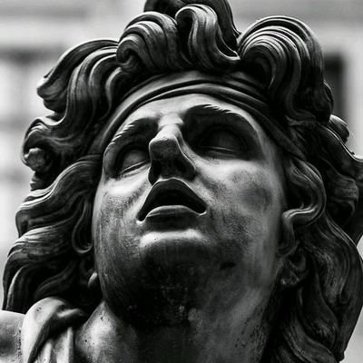 fco65865556's profile picture. 