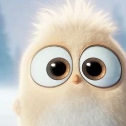 captain1_205's profile picture. 