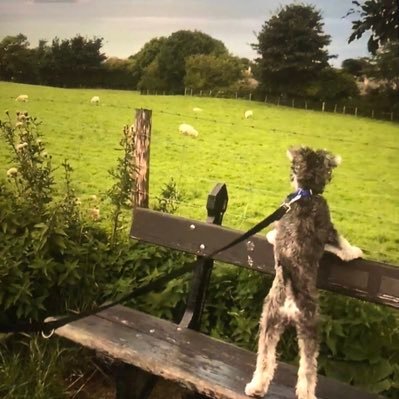 helkala's profile picture. Progressive politics is the only way forward - #FBPE #RejoinEU.