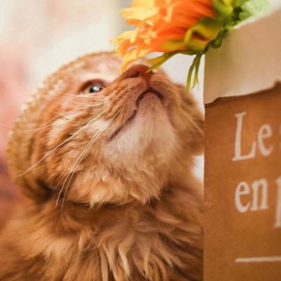 kekewang97's profile picture. 