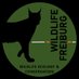 Wildlife & Conservation @ Uni Freiburg (@wild_ecol_cons) Twitter profile photo Wildlife & Conservation @ Uni Freiburg (@wild_ecol_cons) Twitter profile photo