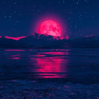 RabieZahid's profile picture. ??