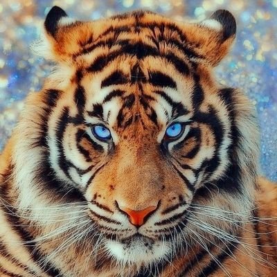 Es para mí un gran honor tener como presidente a un gran hombre: Andrés Manuel López Obrador. Luchador incansable, honesto qué en verdad ve por el pueblo.