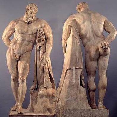 Anthroposss's profile picture. Curious human