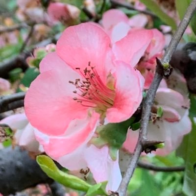 E Co 今夜は池袋でレイトショーの映画観てきた パーティは銭湯からはじまる またまた今週も須賀くん目当て 高野八誠さんがなかなかいい味出してて笑った O ゚ ゚ O しかし あんなイケメン4人が撃沈する合コン ないわ E Co 今夜は池袋でレイトショーの映画観てきた パーティは銭湯からはじまる またまた今週も須賀くん目当て 高野八誠さんがなかなかいい味出してて笑った O ゚ ゚ O しかし あんなイケメン4人が撃沈する合コン ないわ
