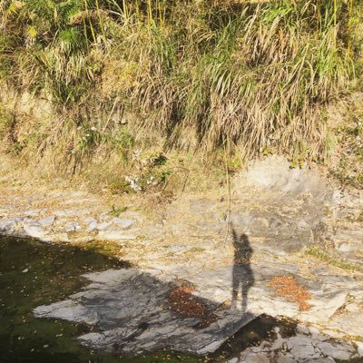 Belinda__Gu's profile picture. 碎碎念……