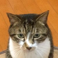 ♨︎ braincloud@HOLIDAY (@gogolowrider) 's Twitter Profile Photo ♨︎ braincloud@HOLIDAY (@gogolowrider) 's Twitter Profile Photo