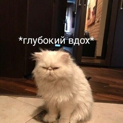шутки кончились