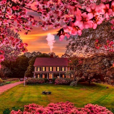لااله الا الله💐 سبحان الله الحمد لله الله اكبر🌹 سبحااان الله وبحمده 🌸 سبحااان الله العظيم.