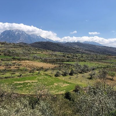 ArensCela's profile picture. sport