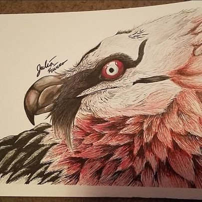 22 Yr
Artist:
Love to make creatures and love animals!
Instagram: julz_29_