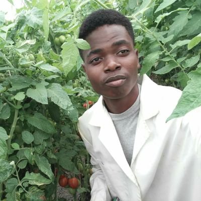 robinkibui's profile picture. Dreamer. Pragmatical. Hydroponicist. Founder.