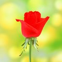 maha ismail - @mahahz - Twitter