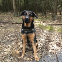 stfano (@w4ttsoldat) 's Twitter Profile