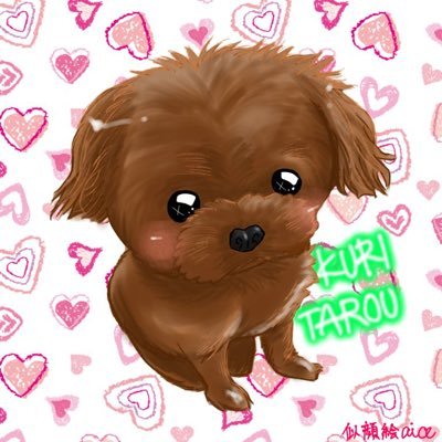👶🏻(2020.4baby)子育て中♡栗太郎は札幌♡マイクロティーカッププードル♡栗太郎♡ 2015.10.23生まれ 動物大好き♡フォロー大歓迎!無言フォローごめんなさい♡SMAP♡新しい地図♡