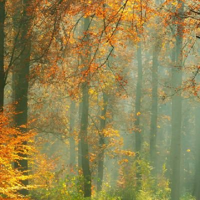 NepettyNikodem1's profile picture. Better ain't good enough, the best is yet to come ✌️✌️✌️✌️✌️