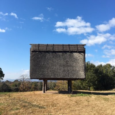 けま。🦦さんのプロフィール画像