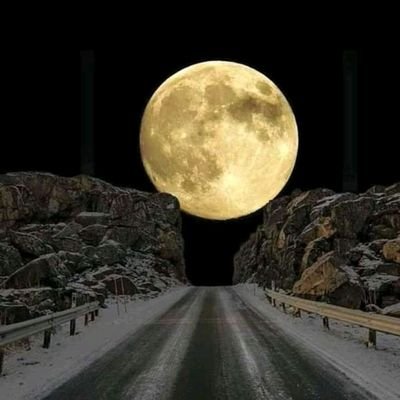 john_avedon's profile picture. What doesnt kill you makes you stronger