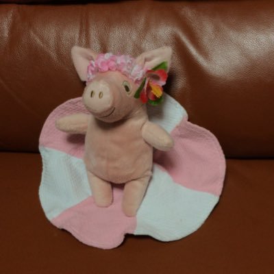 ブタちゃんさんのプロフィール画像