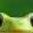 johnke42044778's profile picture. look at me