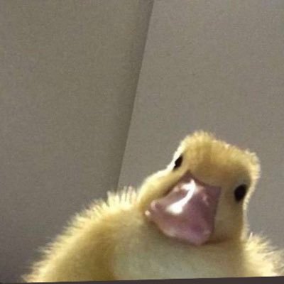 Bass1fn's profile picture. @fncompetitive | Have u ever thought about how small u are? like, it’s fuckin billions of planets and shit...