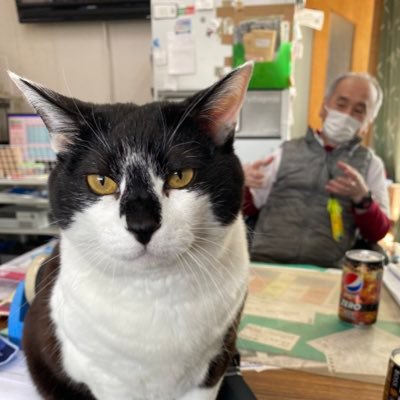 ●パチンコ屋の2階で生まれて63年 ●年齢=パチンコ業界歴 ●北海道当別町のパチンコ屋(木の床)の社長(63歳)の日常をお送りします ●会長は拾ってきた猫(10歳)です●https://t.co/FCCTHsSqi1