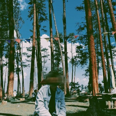 sanialtfh's profile picture. yourplacebo