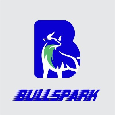 BullSwap is a Decentralized Exchange / Automated Market Maker, Yield Farming, and Staking platform on Binance Smart Chain. NFT Marketplace #BSC #BKS