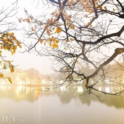 NguynVni10's profile picture. 