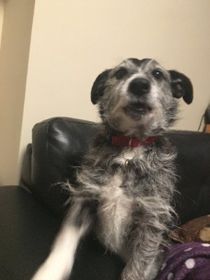 therealsdillon's profile picture. Mainly golf but a bit of football.